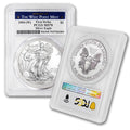 1 oz American Silver Eagle Coin V878