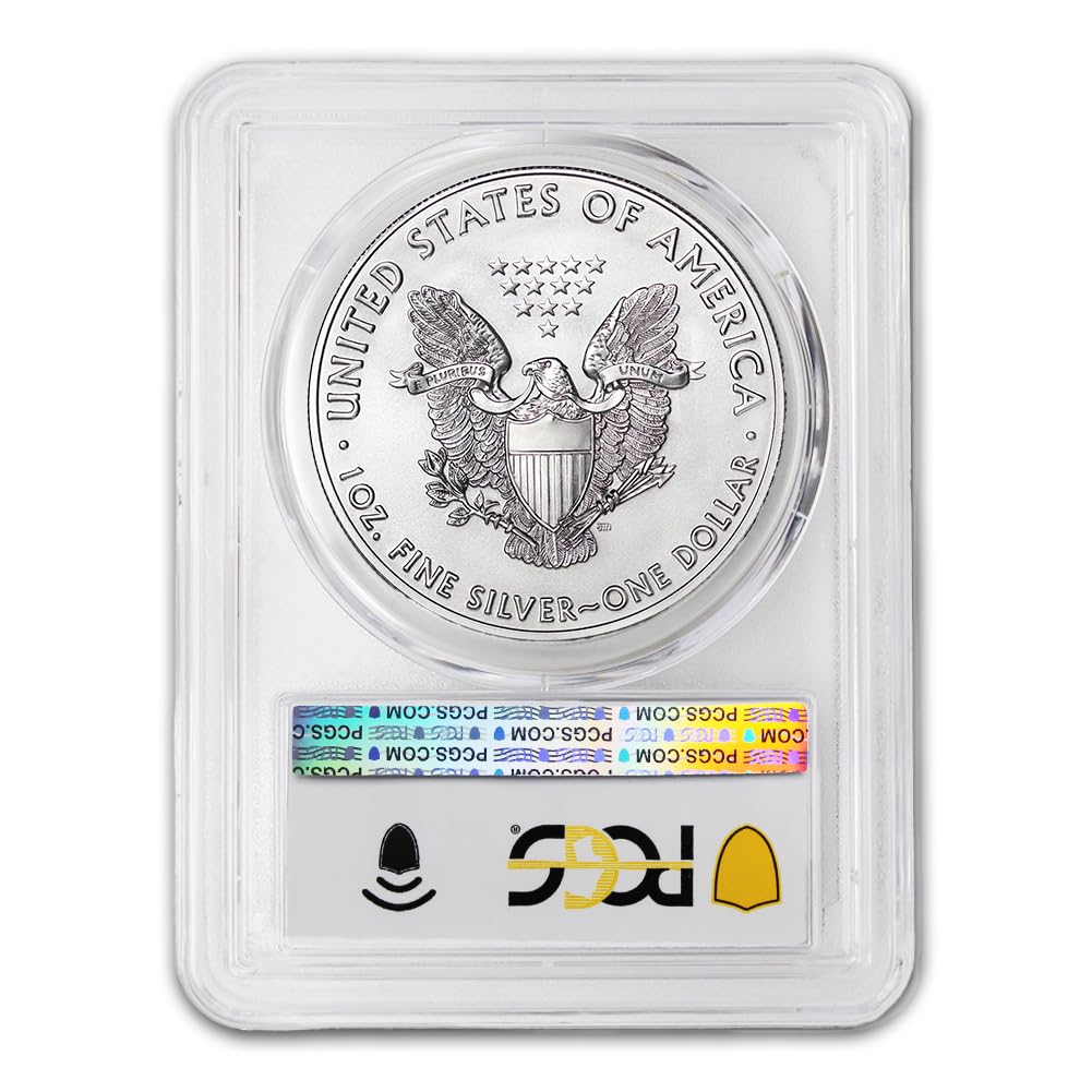 1 oz American Silver Eagle Coin V878