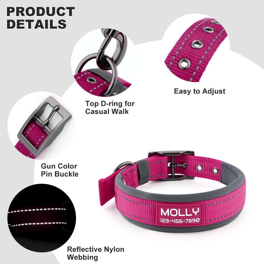 Personalized Dog Collar with Name and Number B30488