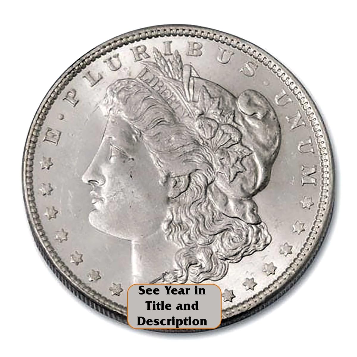 Morgan Silver Dollar X708175
