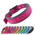 Personalized Dog Collar with Name and Number B30488