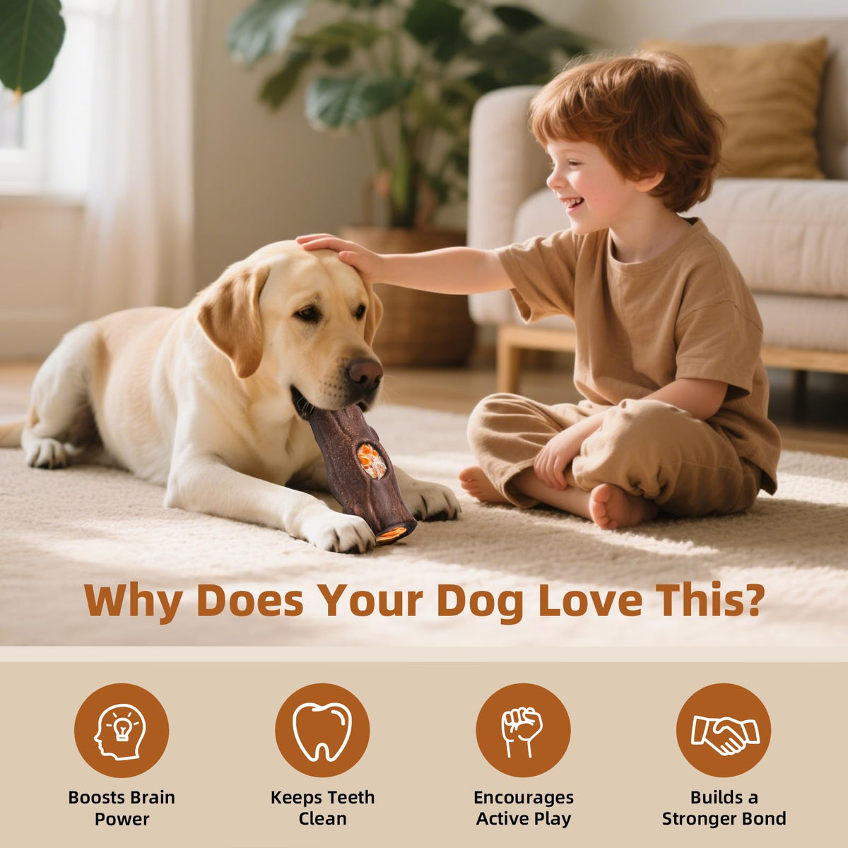 2 Pack Dog Toys Z401303