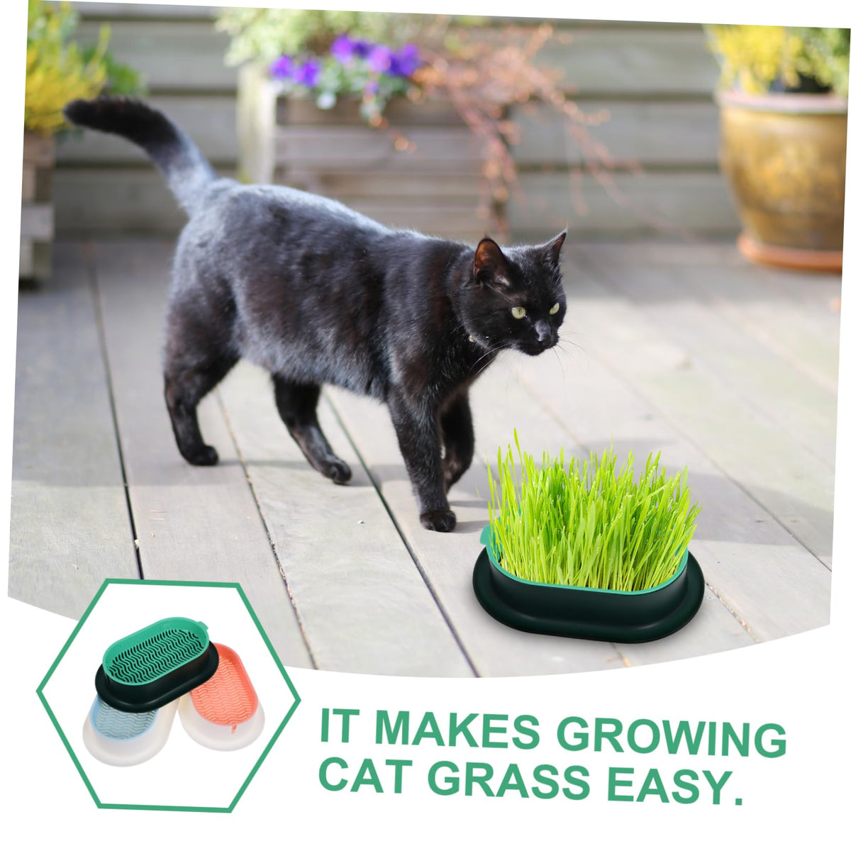 3 Pack Plastic Cat Grass Planter Boxes M914