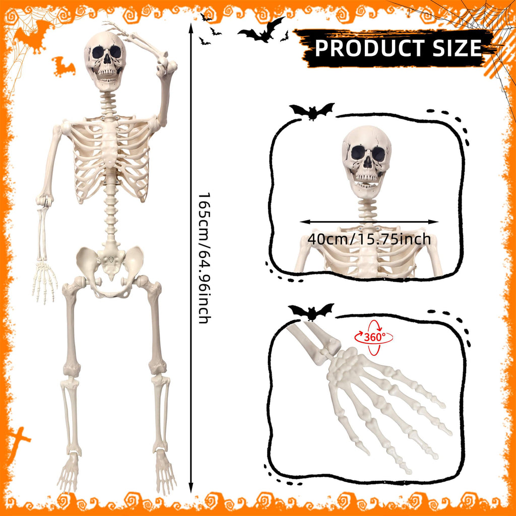 5.4Ft Movable Joints Plastic Skeleton T836322