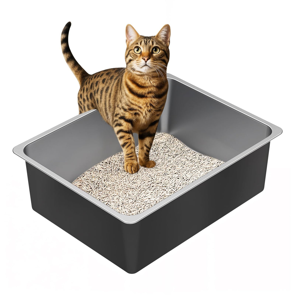 High Sided Stainless Steel Cat Litter Box R243771