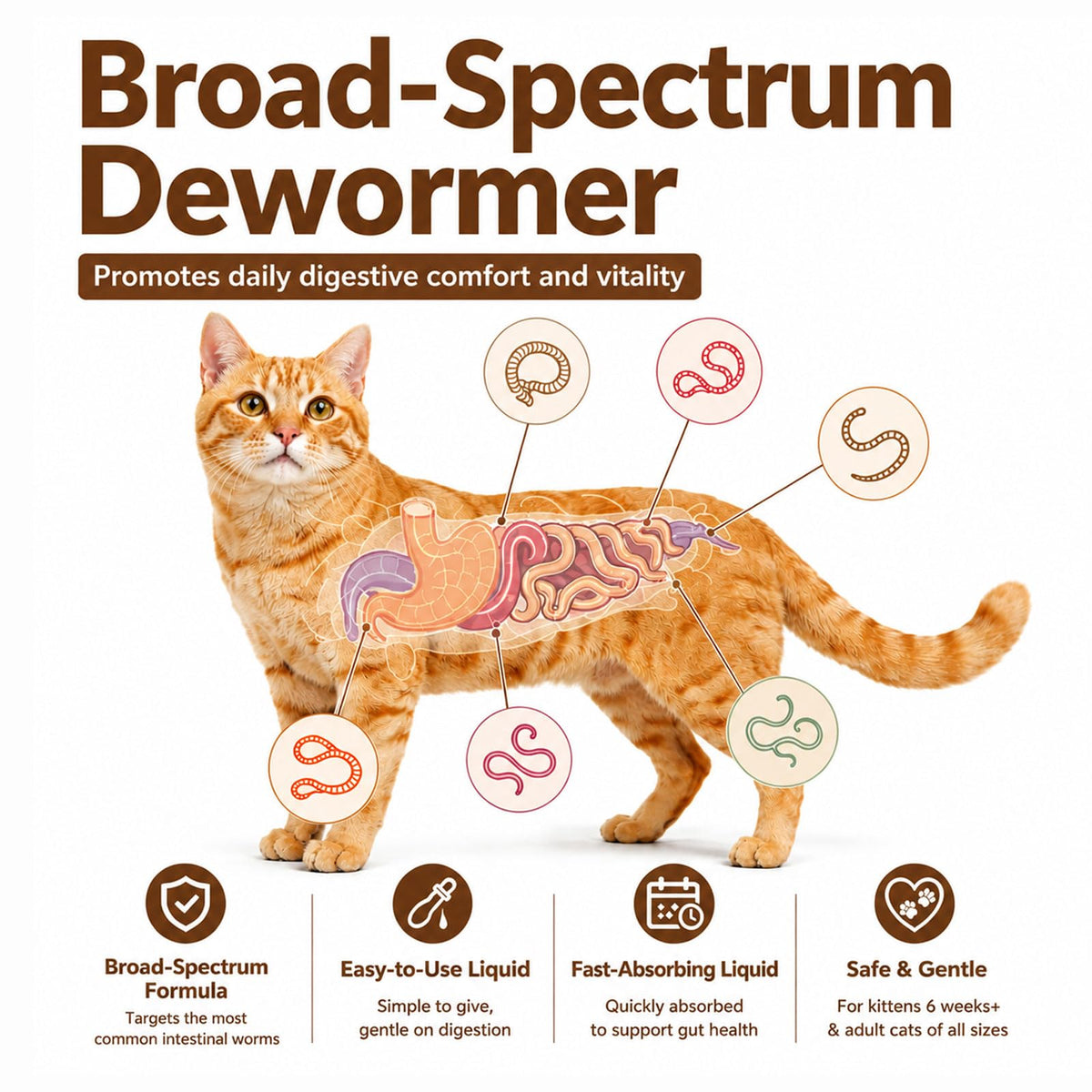 Cat Dewormer Liquid Broad Spectrum Treatment 120ml B488
