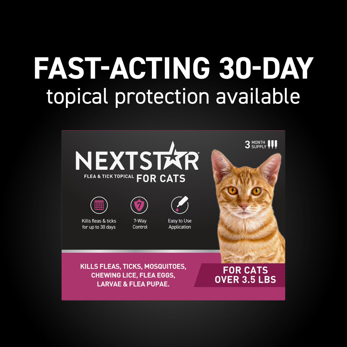 Flea & Tick Topical Cats 3-Month U19329