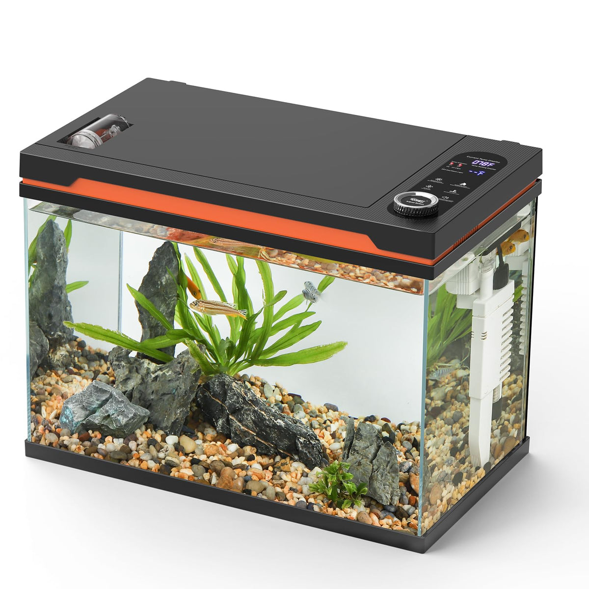 10 Gallon Glass Aquarium Starter Kit with Light Heater Pump Filter X45224