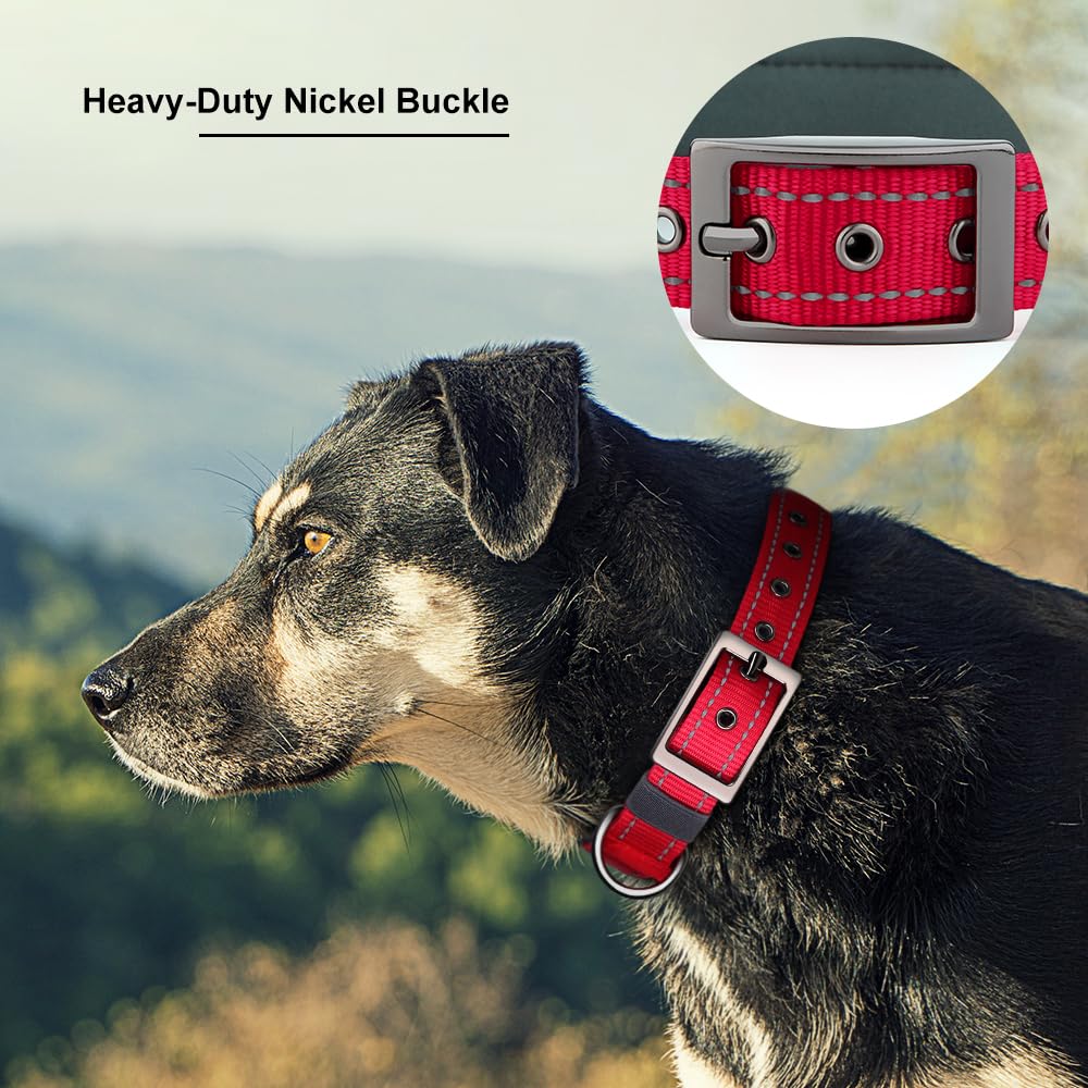 Personalized Dog Collar with Name and Number B30488