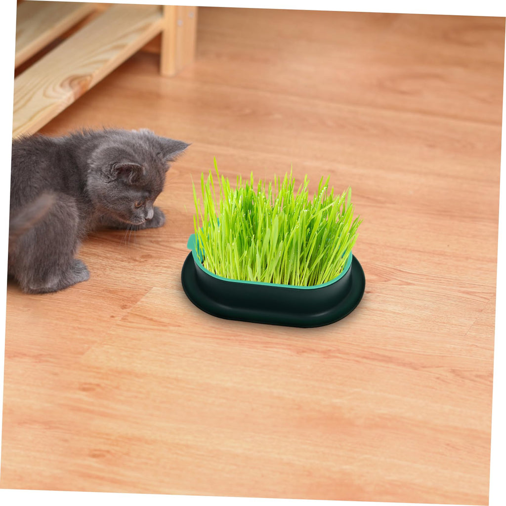 3 Pack Plastic Cat Grass Planter Boxes M914