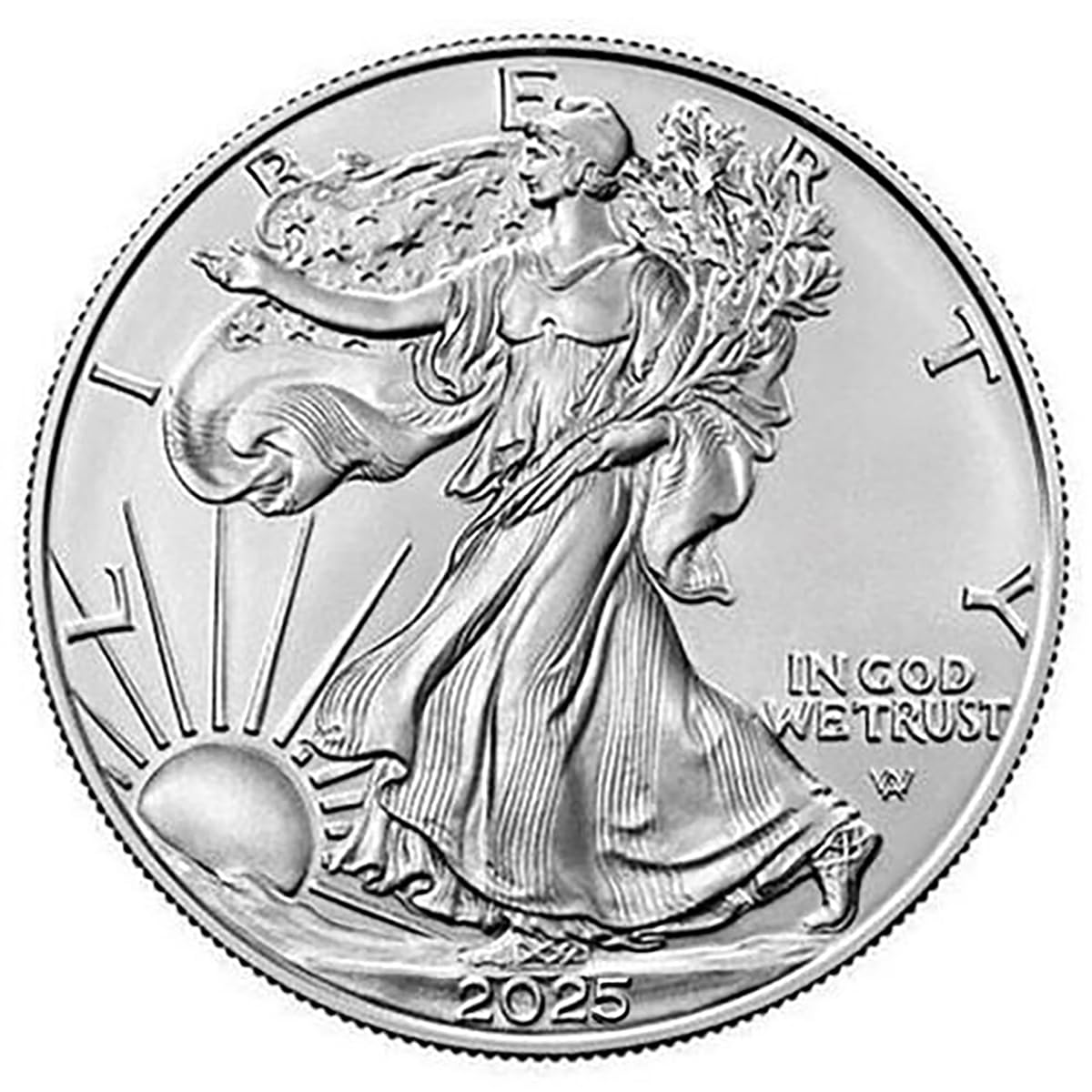 American Silver Eagle .999 Fine Silver Uncirculated B45691