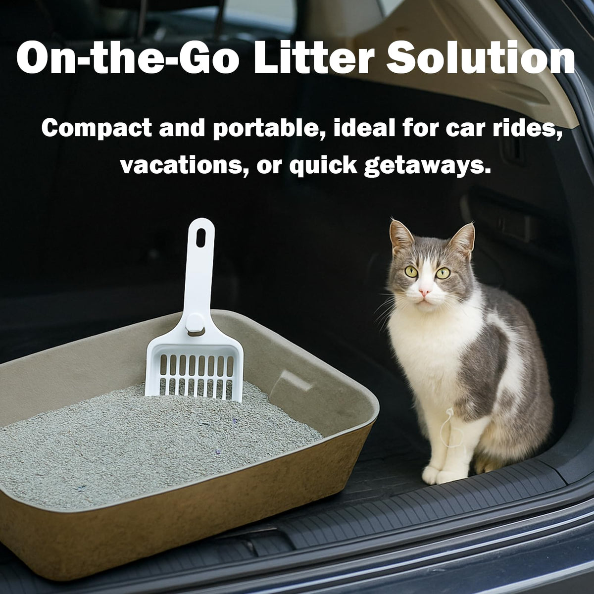 8 Pack Disposable Litter Boxes F127951
