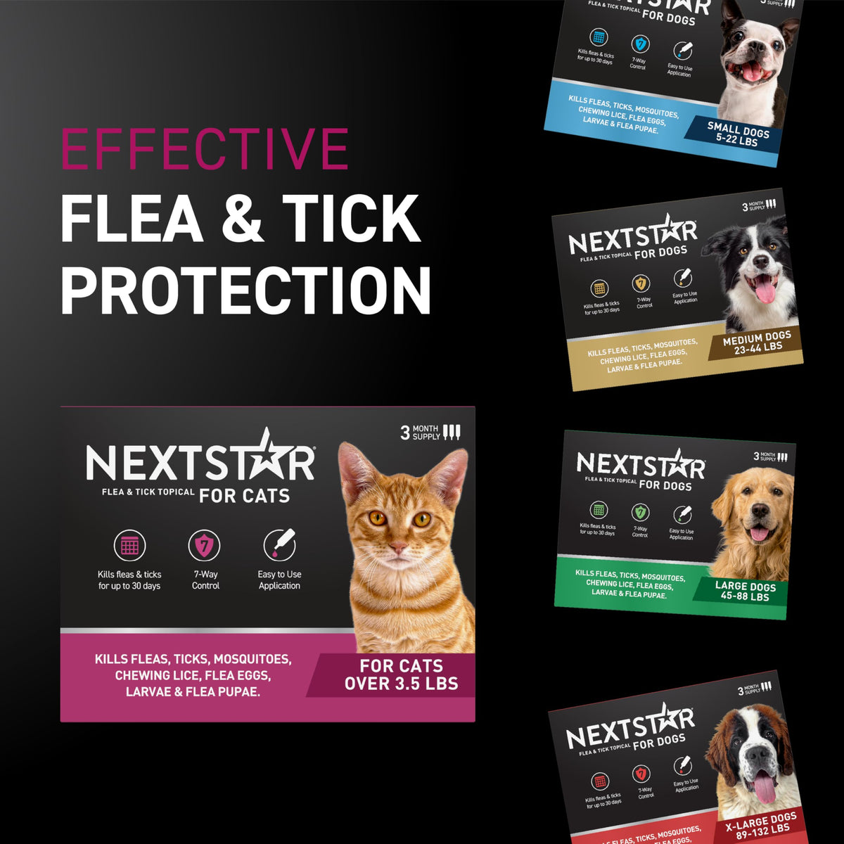 Flea & Tick Topical Cats 3-Month U19329