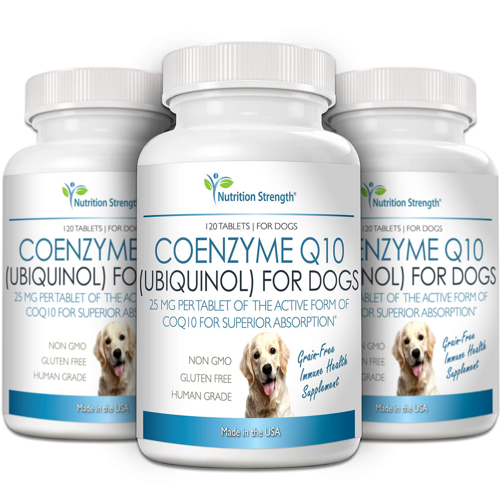 Coenzyme Q10 for Dogs Grain-Free Supplement, 120 Chewable Tablets Z9457