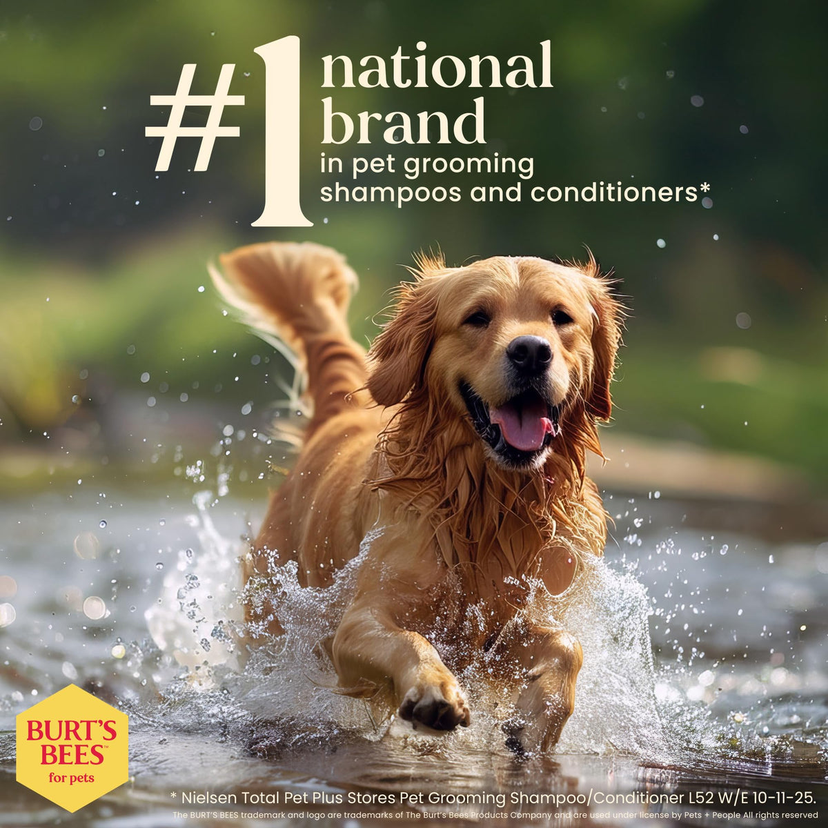 Fragrance-Free Oatmeal Dog Conditioner 10 Fl Oz M55503