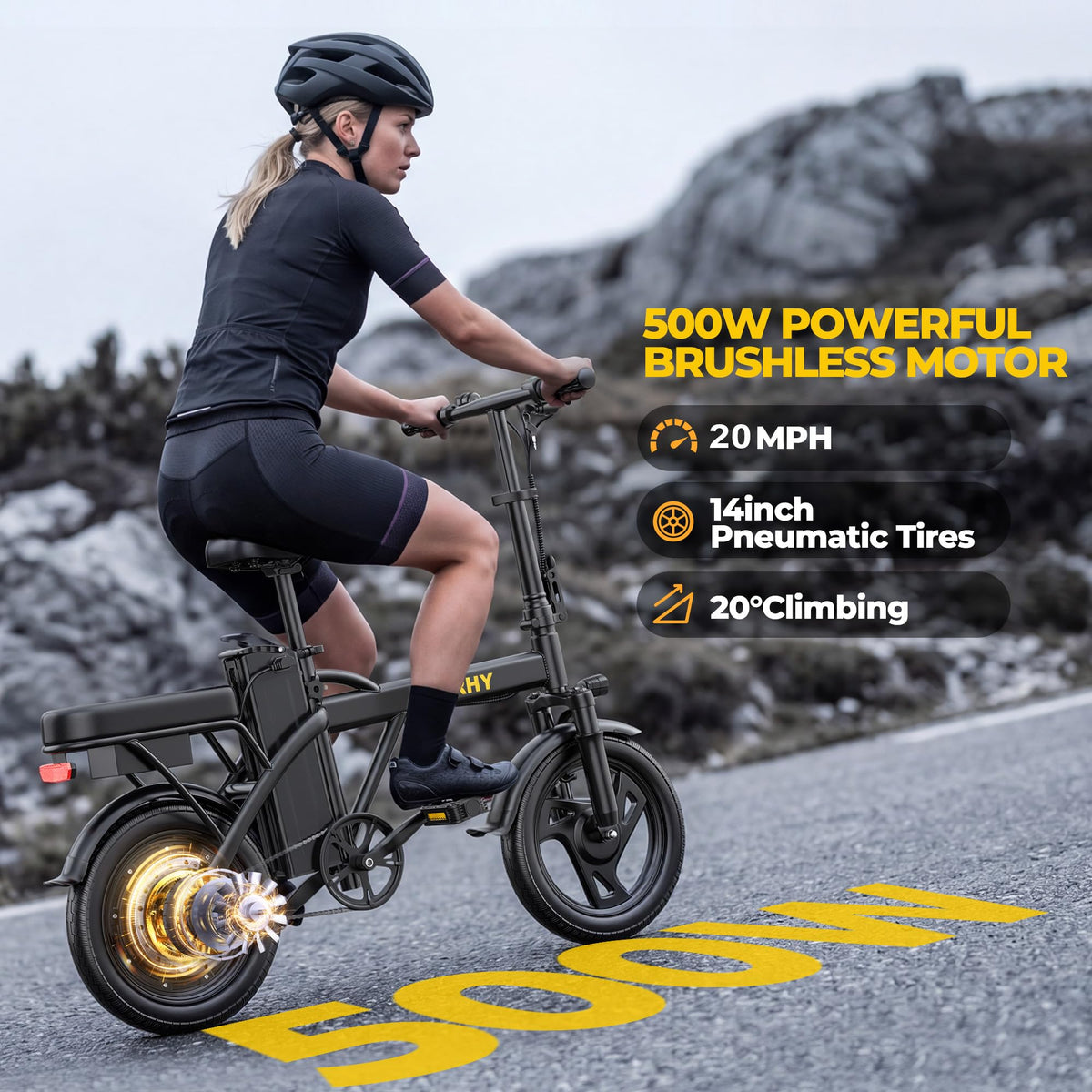 750W Peak Foldable Electric Bike with 48V Removable Battery X221209