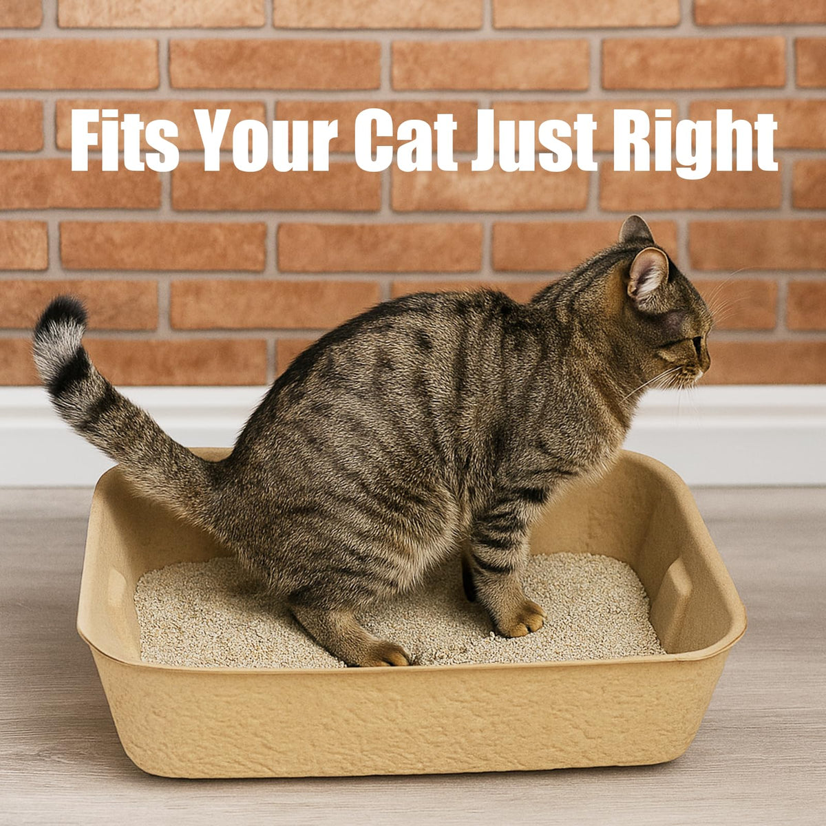 8 Pack Disposable Litter Boxes F127951