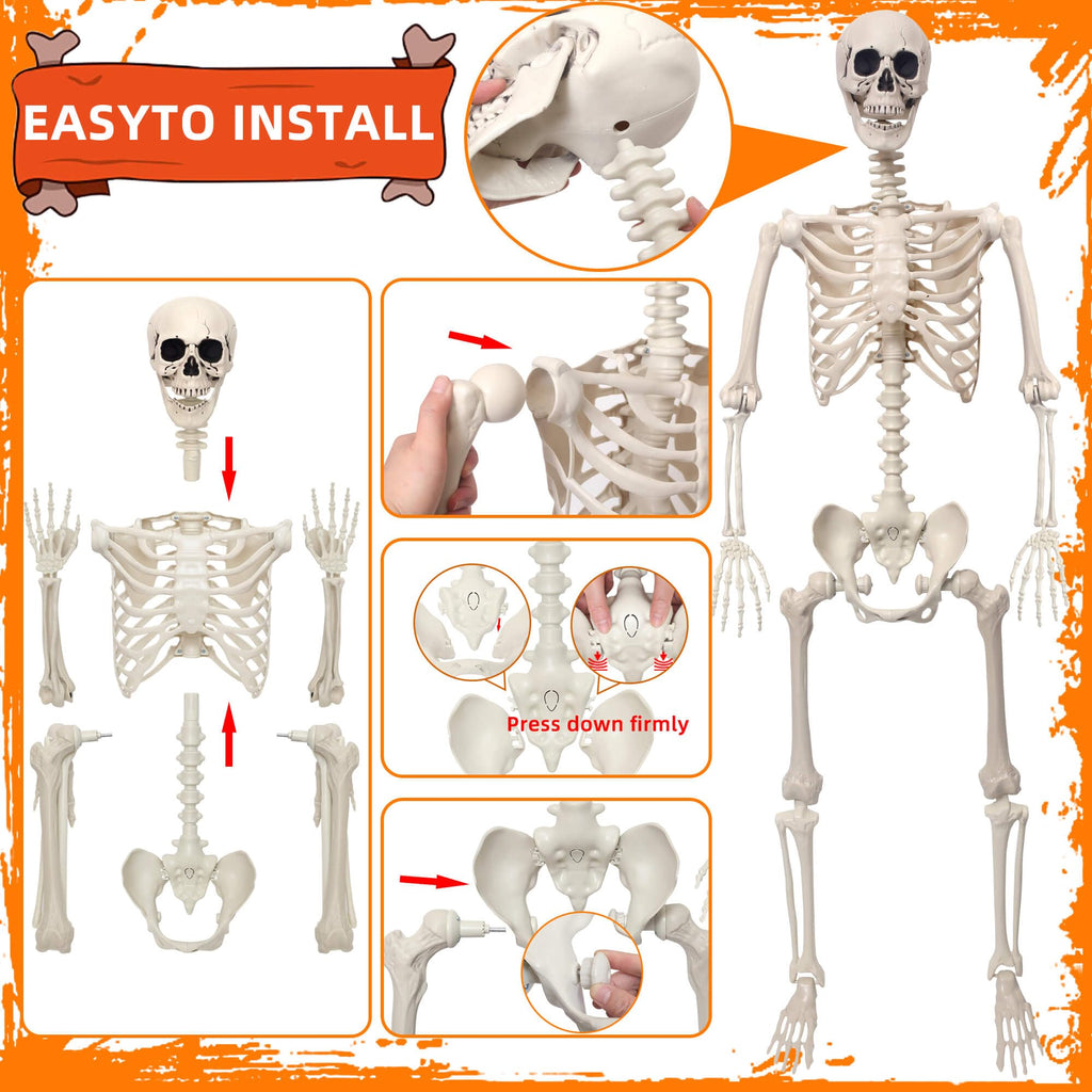 5.4Ft Movable Joints Plastic Skeleton T836322