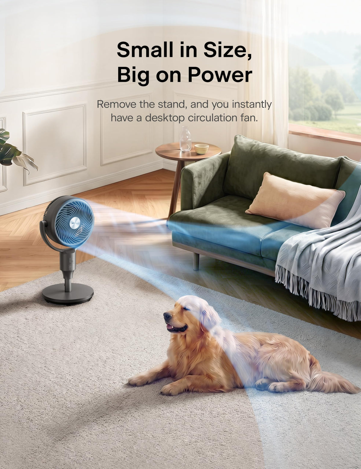 Grey Air Circulator Fan with Remote C1281