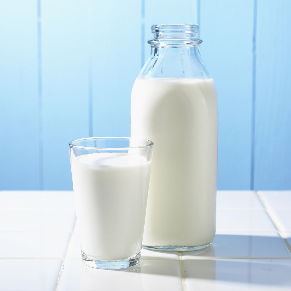 Instant Nonfat Dry Milk Powder W662