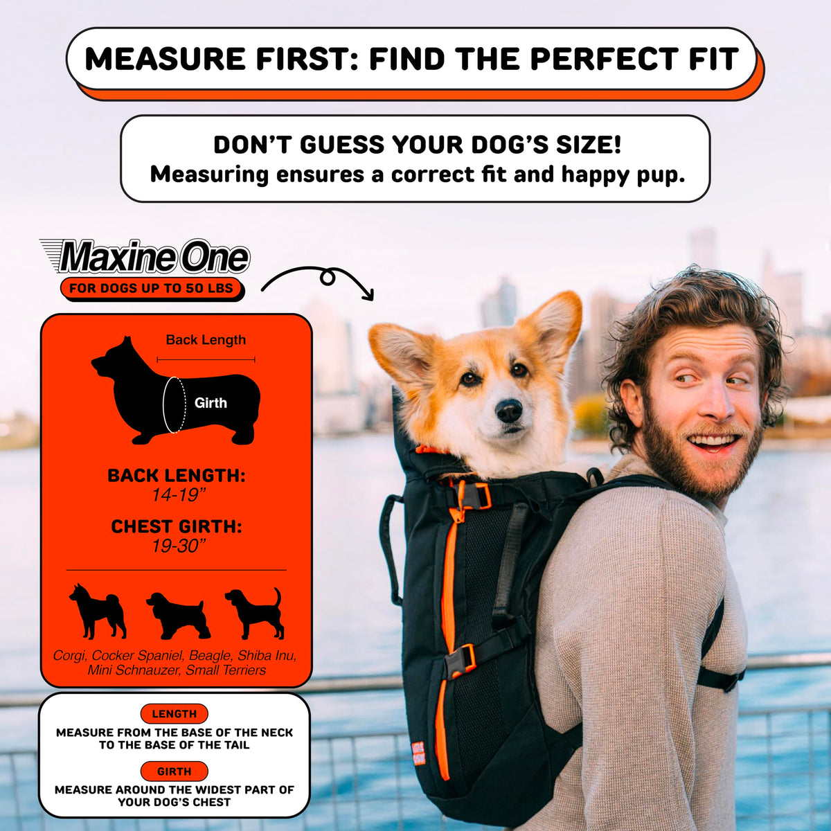 Dog Backpack Carrier P9857
