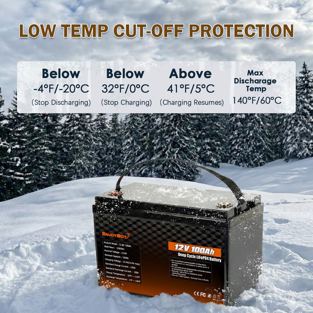 12V 100Ah LiFePO4 Lithium Battery, 100A BMS Deep Cycle Battery with Low Temp Cut Off, 2 Pack I55011