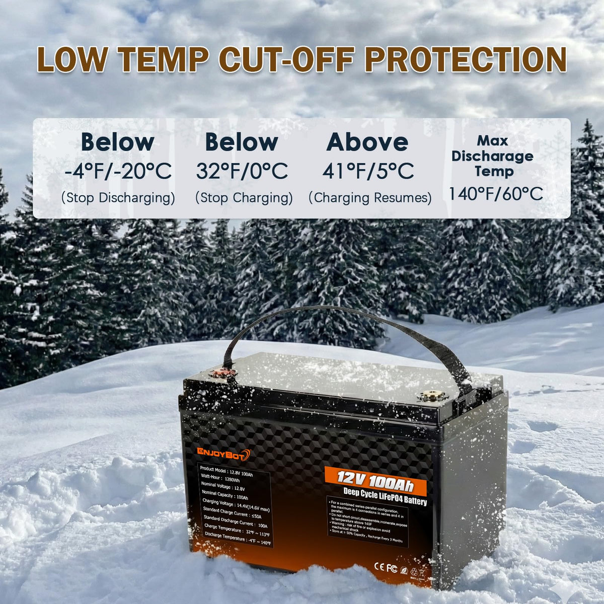 12V 100Ah LiFePO4 Lithium Battery, 100A BMS Deep Cycle Battery with Low Temp Cut Off, 2 Pack I55011