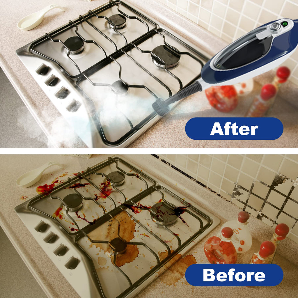 10-in-1 Steam Mop F5419