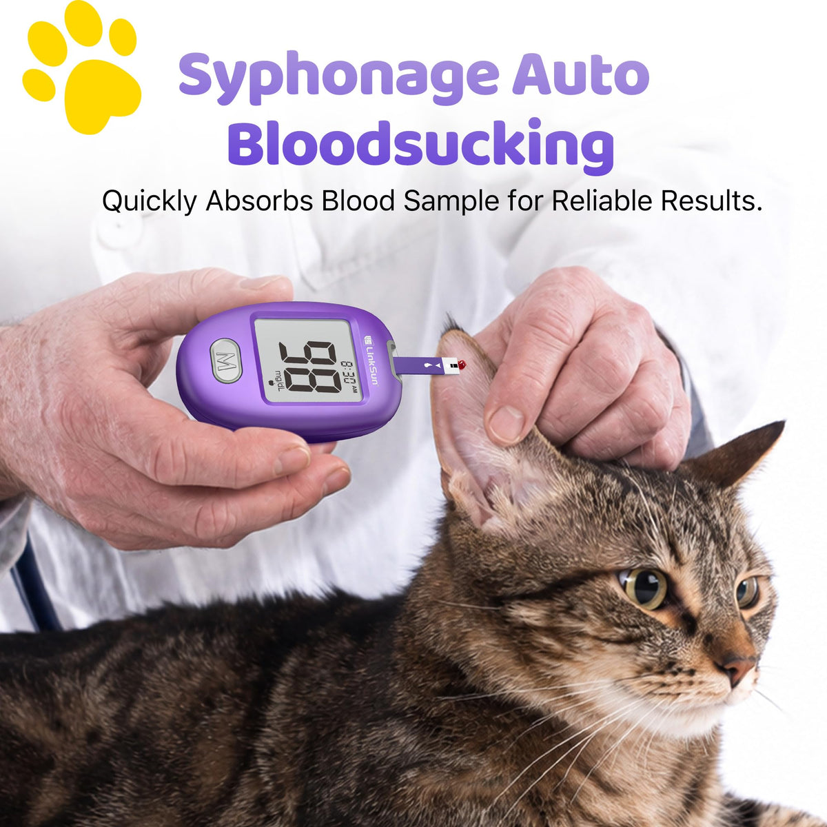 Pet Glucose Test Strip for Dogs & Cats, 100PCS S541