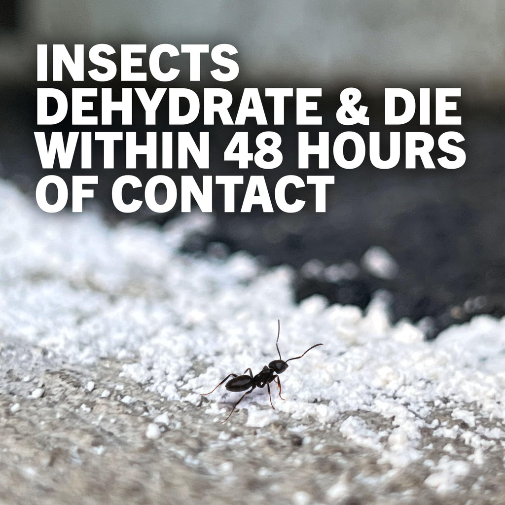 4 lb Diatomaceous Earth Crawling Insect Killer Y58673
