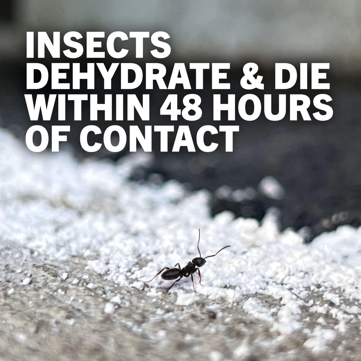 4 lb Diatomaceous Earth Crawling Insect Killer Y58673