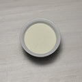Instant Nonfat Dry Milk Powder W662